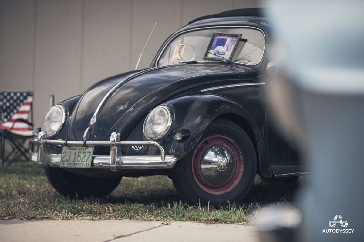 The beetle in the grass
