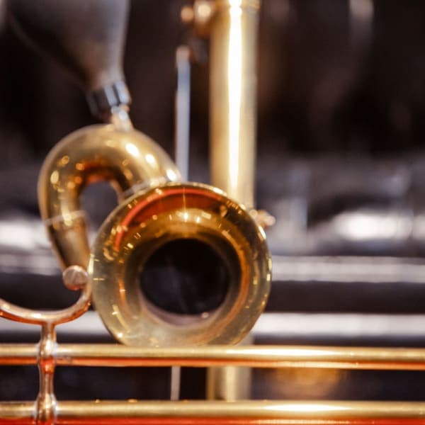 Bulb horn